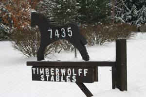 sign.jpg (190592 bytes)