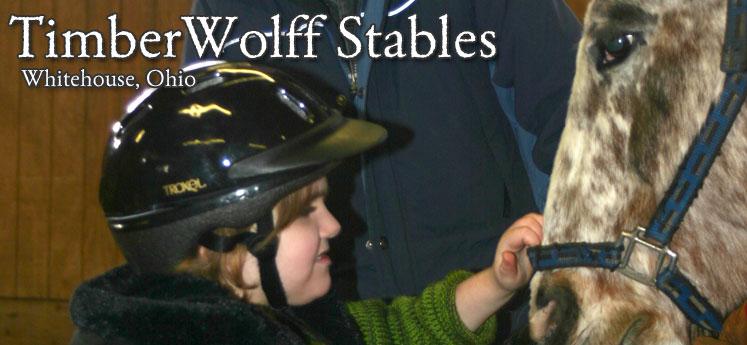 Timberwolff Stables Whitehouse Ohio - Hippotherapy Program with St. Vincent Mercy Children's Hospital