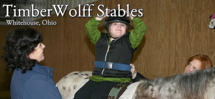 Timberwolff Stables Whitehouse Ohio - Hippotherapy Program with St. Vincent Mercy Children's Hospital