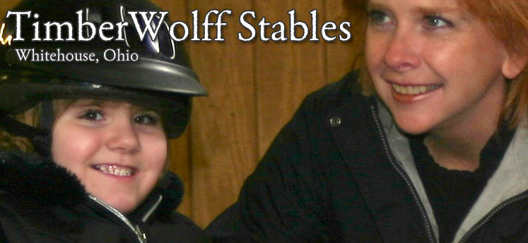 Timberwolff Stables Whitehouse Ohio - Hippotherapy Program with St. Vincent Mercy Children's Hospital