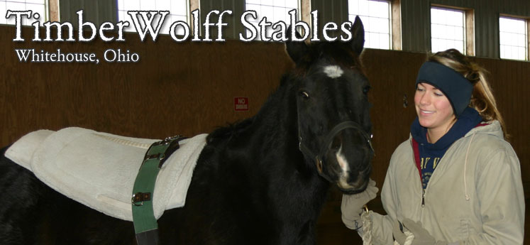 Timberwolff Stables Whitehouse Ohio - Hippotherapy Program with St. Vincent Mercy Children's Hospital