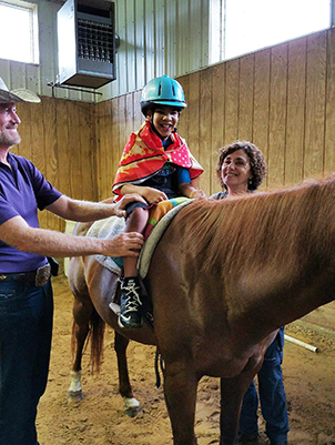 feedhorse.jpg (201367 bytes)